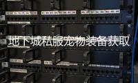 地下城私服宠物装备获取难吗？
