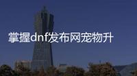 掌握dnf发布网宠物升级的秘诀