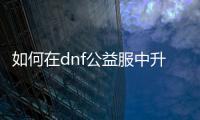 如何在dnf公益服中升级竹林