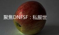 聚焦DNFSF：私服世界中的冒险与挑战