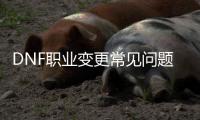 DNF职业变更常见问题解答