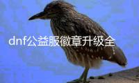 dnf公益服徽章升级全攻略