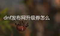 dnf发布网升级券怎么用？